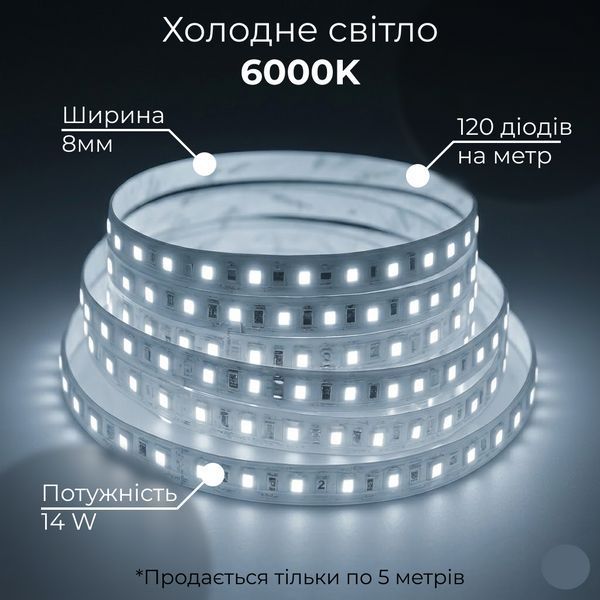 Світлодіодна стрічка 2835-120 12В 14Вт IP-20, B-LED V3 холодне біле світло, негерметична, 1 м 14481 фото
