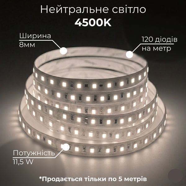 Світлодіодна стрічка 2835-120 48V 11,5W 8мм IP20 4500K, BIOM Professional з нейтральним білим світлом, негерметична, 1м BPS_48_11 фото