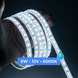 LED стрічка 12В 4,8Вт 2835-60 6000K IP65 , світлодіодна стрічка B-LED Standart холодне біле світло герметична, 1м 502 фото 1