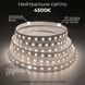 LED стрічка 2835-60 12В 6,5Вт 8мм 4500K, Світлодіодна стрічка BIOM Professional нейтральний білий колір, негерметична IP20, 1 м 12295 фото 2