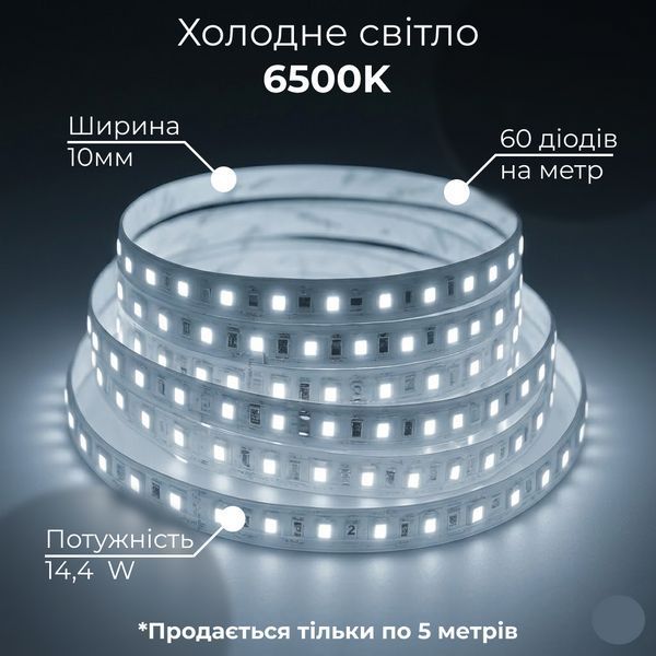 LED лента 5050-60 12В 14,4Вт 10мм 6000K, Светодиодная лента B-LED Standart с холодным белым светом, негерметичная, 1м 513 фото