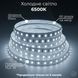 LED лента 5050-60 12В 14,4Вт 10мм 6000K, Светодиодная лента B-LED Standart с холодным белым светом, негерметичная, 1м 513 фото 2