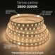LED стрічка 2835-120 12В 13,5Вт 8мм 3000K, Світлодіодна стрічка BIOM Professional з теплим білим світлом, негерметична, 1м 12298 фото 2